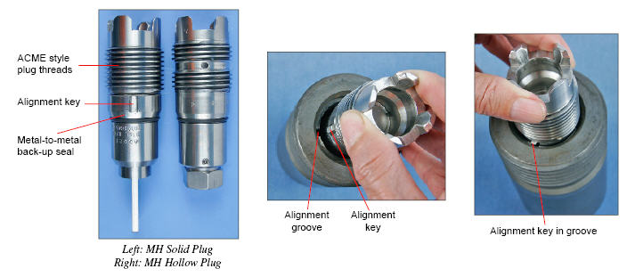 High Pressure Access Systems - Plugs